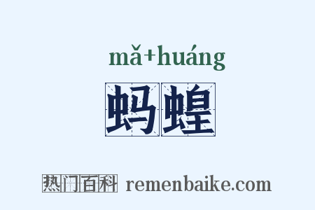 蚂蝗是什么意思的图片